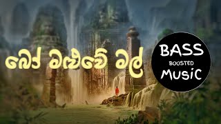 Bo Maluwe Mal  බෝ මළුවේ මල්  BaSS BooSted [upl. by Berners]