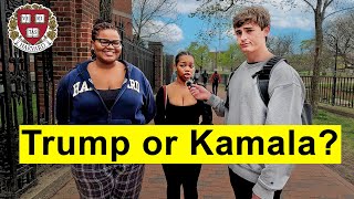 Asking Harvard Students Who They Are Voting For in 2024 [upl. by Bayer]