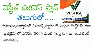 vestige marketing business plan  telugu  BUSINESS  9866202933 [upl. by Ilatfan]