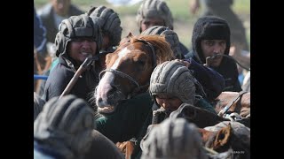 Кызылорда облысы Жанакорган ауданы Кожамберди ауылы Темирбекулы Нурболат мырзанын кокпары 11 11 2021 [upl. by Weissberg671]