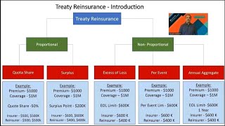 Treaty Reinsurance [upl. by Anytsirhc79]