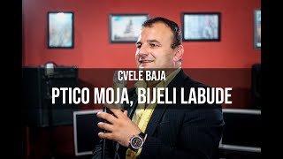 CVELE BAJA  Ptico moja bijeli labude Cover [upl. by Aicenod]