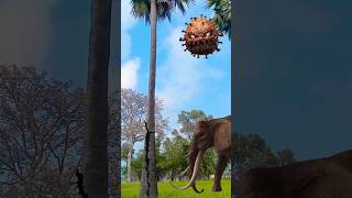 mera mola haydar 🙏☠️👻🇮🇳shortvideo islamicvideo new vfx viral vfxshortsvfx najim [upl. by Rani]