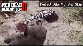 Where To Find A Gila Monster  Red Dead Redemption 2 Perfect Skin Location Guide RDR2 [upl. by Xenophon]