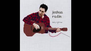 Joshua Radin  Here Right Now Official Audio [upl. by Enilesor]