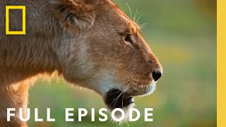 Sacrifice and Betrayal Queens of the Rainforest Full Episode  Queens [upl. by Tama]