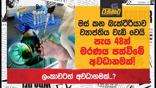 මස් කන බැක්ටීරියාව ව්‍යාප්තිය වැඩි වෙයිලංකාවටත් අවධානමක් Paththare Streptococcus Pyogenes [upl. by Leonie221]