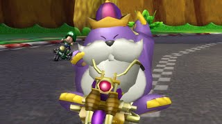 King Monty Mole in Mario Kart Wii [upl. by Mulac217]