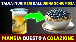 Top 10 Colazioni per Fermare la Proteinuria e Guarire Velocemente i Reni [upl. by Jadwiga]