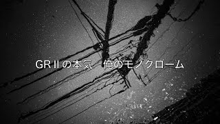 【RICOH GRⅡ】モノクロだからこそ良い写真が必ずある  作例  Monochrome  白黒 [upl. by Emor]