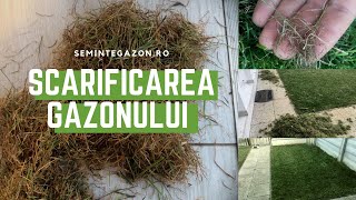 Scarificarea gazonului  cum scarificam gazonul  wwwsemintegazonro [upl. by Yoreel7]