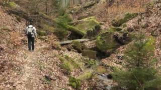 Wanderung durch ein´s der schönsten und romantischsten Täler des Pfälzer Waldes  Naturfilm [upl. by Marjorie]