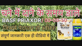 चने में दाने के समय डाले BASF PRIAXOR NPK 000050 जिससे पेदावार हो अधिक  संपूर्ण जानकारी [upl. by Church]