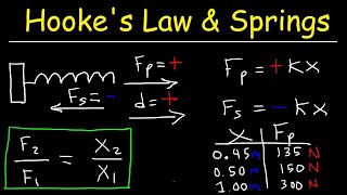 Hookes Law and Elastic Potential Energy [upl. by Avik]