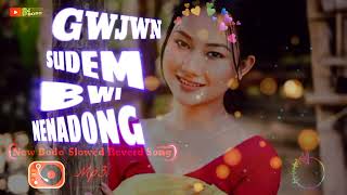 Gwjwn Sudem Bwi NenadongHitt Song🎸New BodoSlowed Reverd Song2024‎B4Boro [upl. by Quirk321]