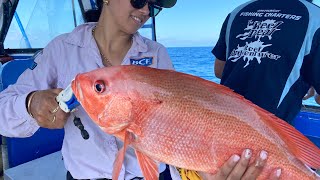 Whitsunday Fishing Charter AWSOME Day Out CATCH AND COOK [upl. by Garvin889]