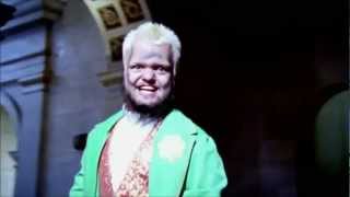 Hornswoggle Theme Song [upl. by Odnesor]