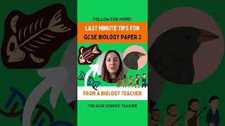 Biology Paper 2 Tips You can do it 👊🍀 [upl. by Niltag]