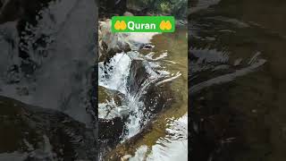 Surah ahqaf ayat 15🌹🥀🌺😍reels shortvideo trending subscribe [upl. by Waite]