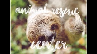 Exploring Costa Rica One day at Costa Rica Animal Wildlife Center 2017 [upl. by Euqirdor413]