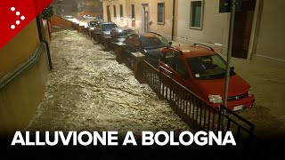 Alluvione a Bologna esonda il fiume Ravone la città inondata [upl. by Ellednahs]