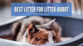 My Review Of The LitterRobot 4 Fence [upl. by Ahsien513]