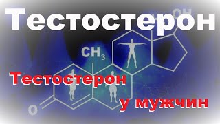 Тестостерон 1 Тестостерон у мужчин [upl. by Handy162]