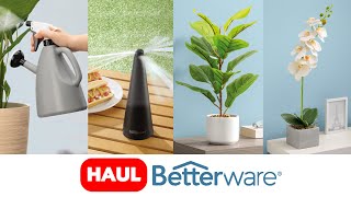 ¡Haul PRODUCTOS DEL HOGAR de Betterware Deco Orquídea Deco Pandurata y más  Mundo Better 🌎 [upl. by Philo]