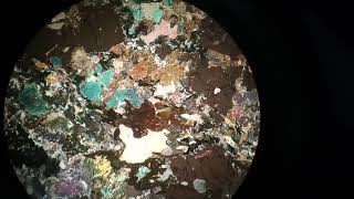 Amphibole thin section in microscope stage rotation in both conditions PPL ampXPL [upl. by Seem]