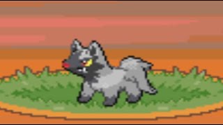 Pokemon Unbound v101  Poochyena Location [upl. by Leavelle750]