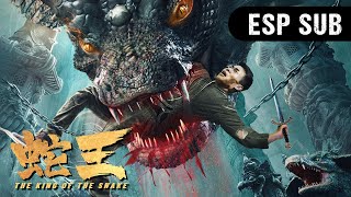 📽️Película Completa  ¡Palacio de serpientes extraño The King of the Snake  WeTV [upl. by Hermia]