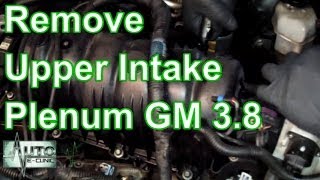 How To Remove the Upper Intake Manifold Plenum GM 38 V6 [upl. by Toulon7]