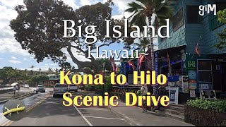 Kona to Hilo Scenic Drive  Big Island Hawaii TownScenicHomes [upl. by Ernald]