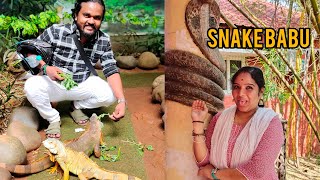 Fun Time in Snake park  Snake Babu 🐍🐍Atrocities 😅😅😀 Guindy snake park [upl. by Sirraf]