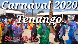 Carnaval 2020 Tenango De Doria Hidalgo [upl. by Godfree238]