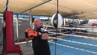 How to train with a Floor to Ceiling Ball  Punch Equipment® [upl. by Heise335]