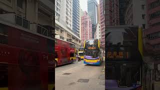 Hong Kong CityBus 1 at Wan Chai Road [upl. by Heinrik]