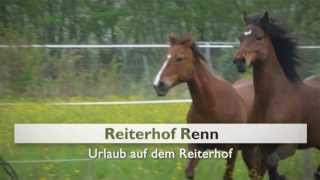 Reiten in Rheinland Pfalz Ferienwohnung Limburg an der Lahn Reiterhof Renn [upl. by Marquis]