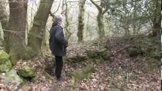 Richplanet TV  March 2014 Show  Hidden Welsh Archaeology [upl. by Llorre]