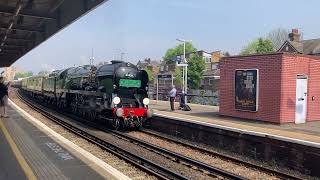 35028 Clan Line passing through Herne Hill Station 11052024 [upl. by Yeorgi978]