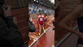 Stanford Women Dominate Penn Relays DMR shorts [upl. by Delahk876]