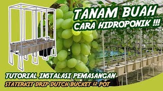 MENANAM BUAH HIDROPONIK Tutorial pemasangan Staterkit DRIP 12 Pot tutorial drip hidroponik Buah [upl. by Trstram]