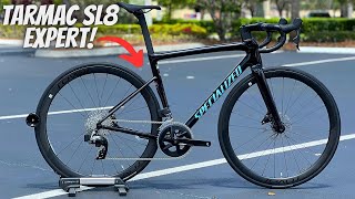 6500 SPECIALIZED TARMAC SL8 EXPERT IS THIS THE BEST MODEL TO BUY [upl. by Eenhpad730]