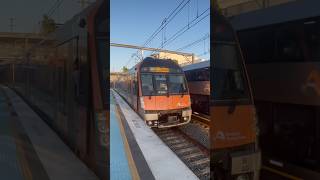 Waratahs on both platforms at Campsie [upl. by Sverre]