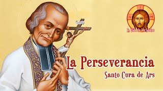 La Perseverancia Perseverar hasta el Final  Sermones del Santo Cura de Ars [upl. by Rochella910]