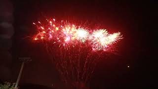 Bloomin Marvels from Celtic Fireworks fireworkcrazy​ fireworkcrazy [upl. by Seira121]