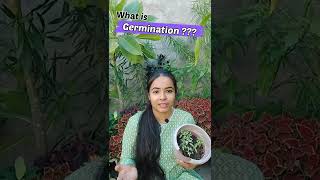 What is Germination shorts gardening germination plants [upl. by Carrelli544]