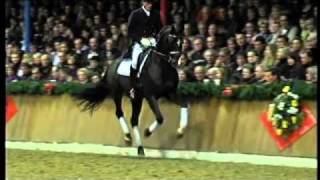 Stedinger 2000 by Sandro Hit  Landadel Stallion Show Sosath 2011 [upl. by Akaya]