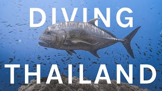 Diving Koh Bon Richelieu Rock and the Similan Islands in Thailand [upl. by Trista451]