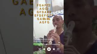 SPIRITED AWAY ON FLUTERECORDER spiritedaway anime flute recorder tutorial foryoupage viral [upl. by Dlorrej]